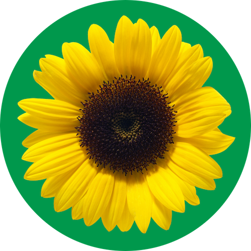 Disability Sunflower Logo