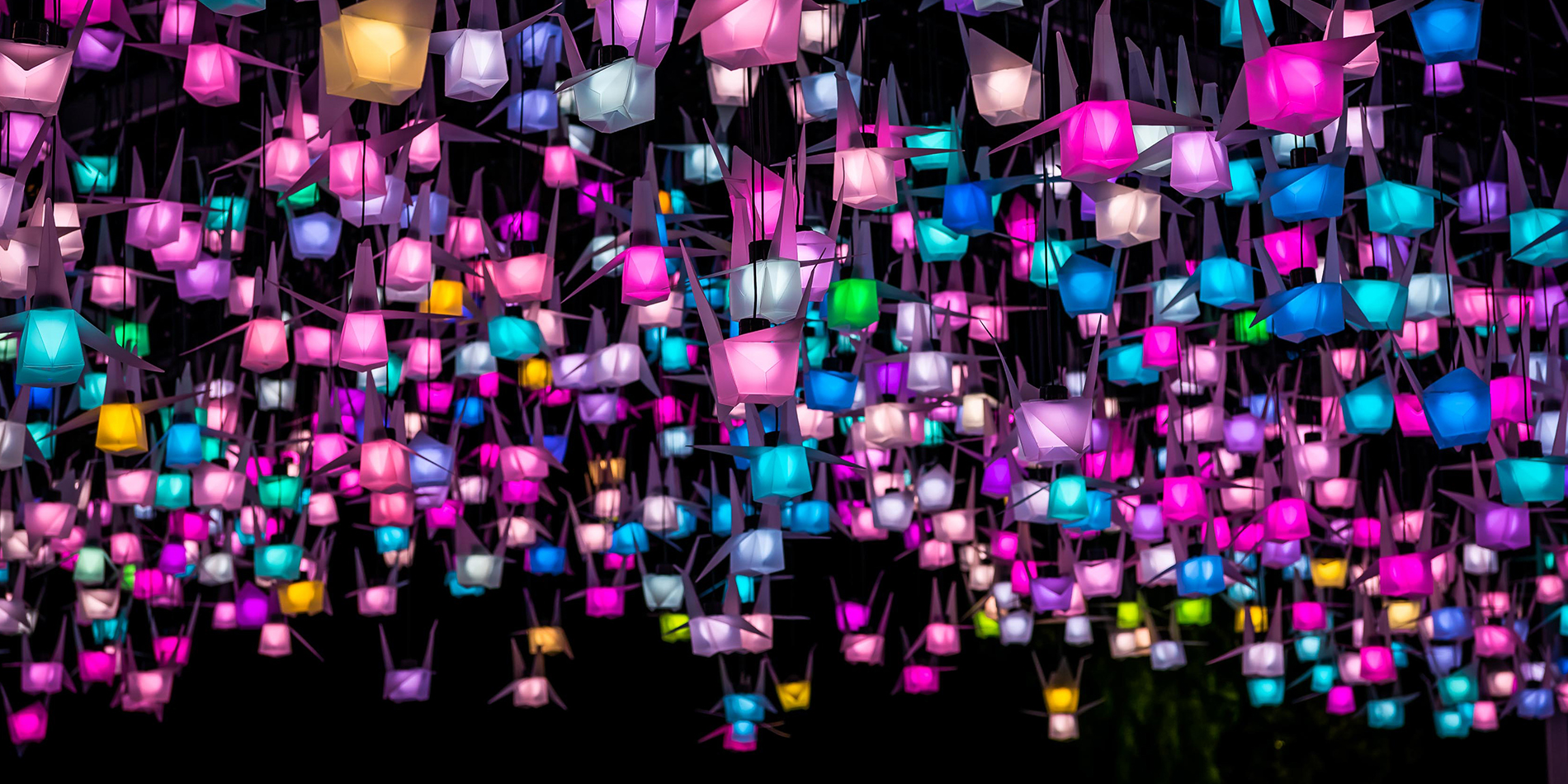 1000 Cranes - Vivid Sydney 2018