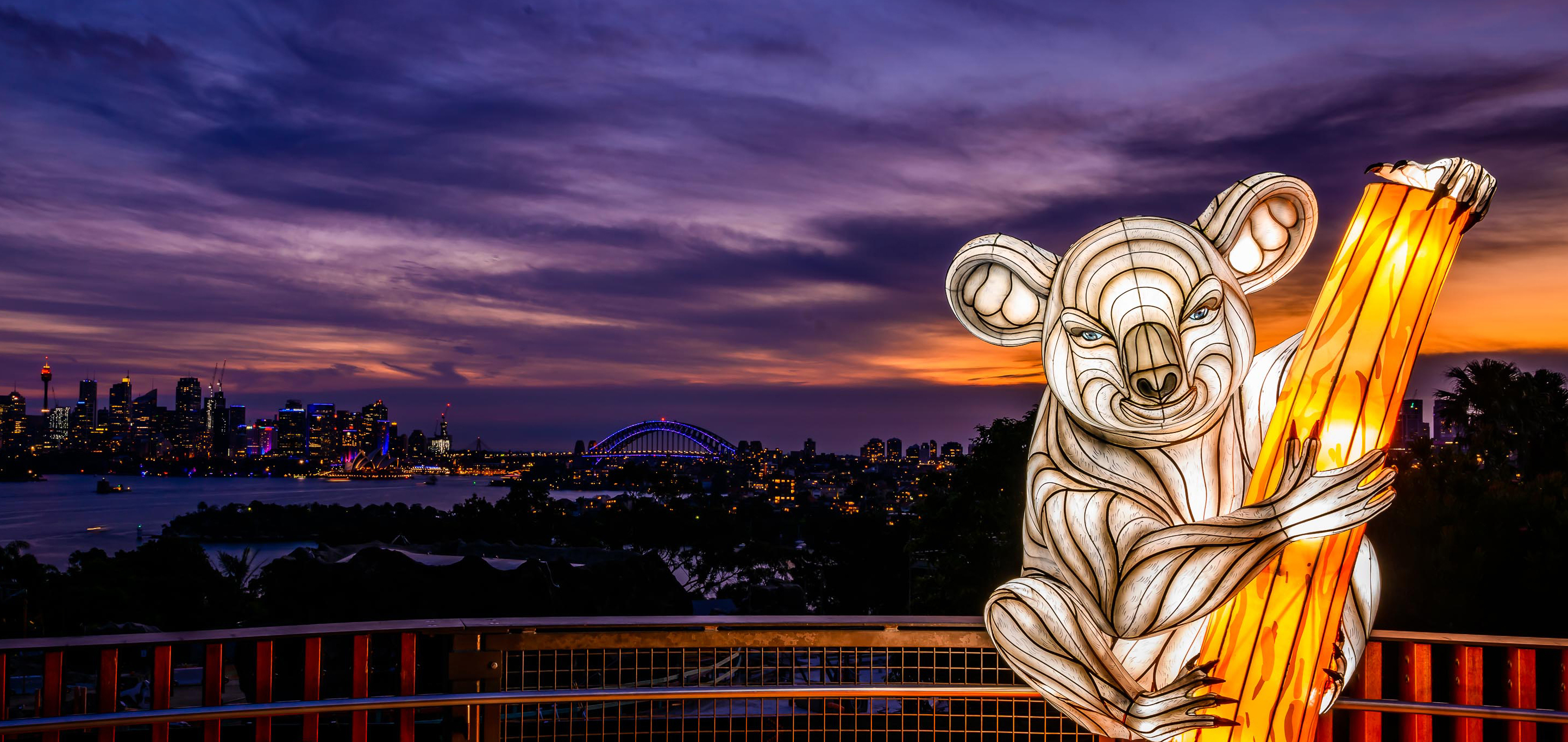 Vivid Taronga Zoo Sydney Events & Things To Do | Vivid Sydney 2019