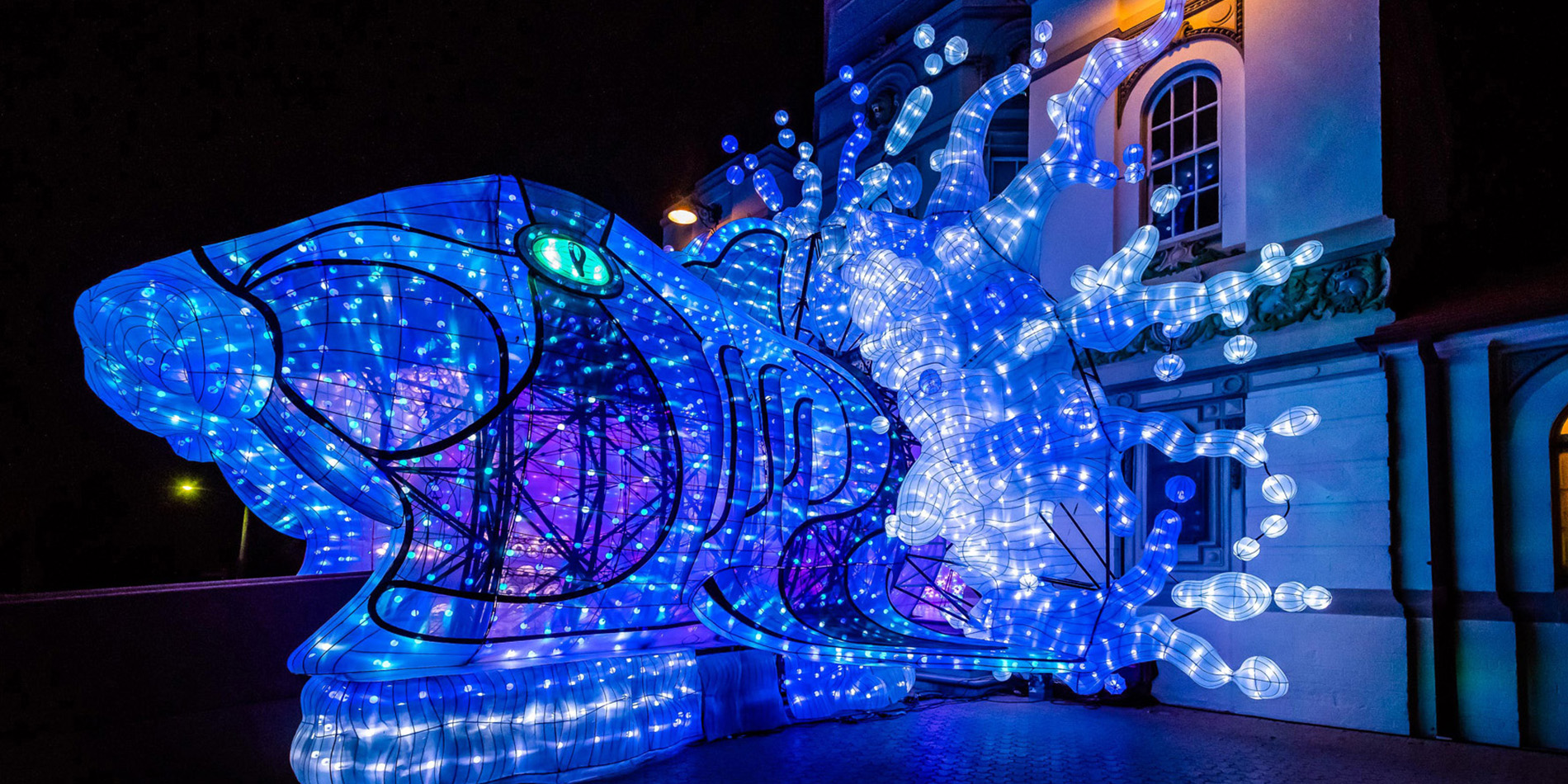 Taronga Zoo - Vivid Sydney 2018