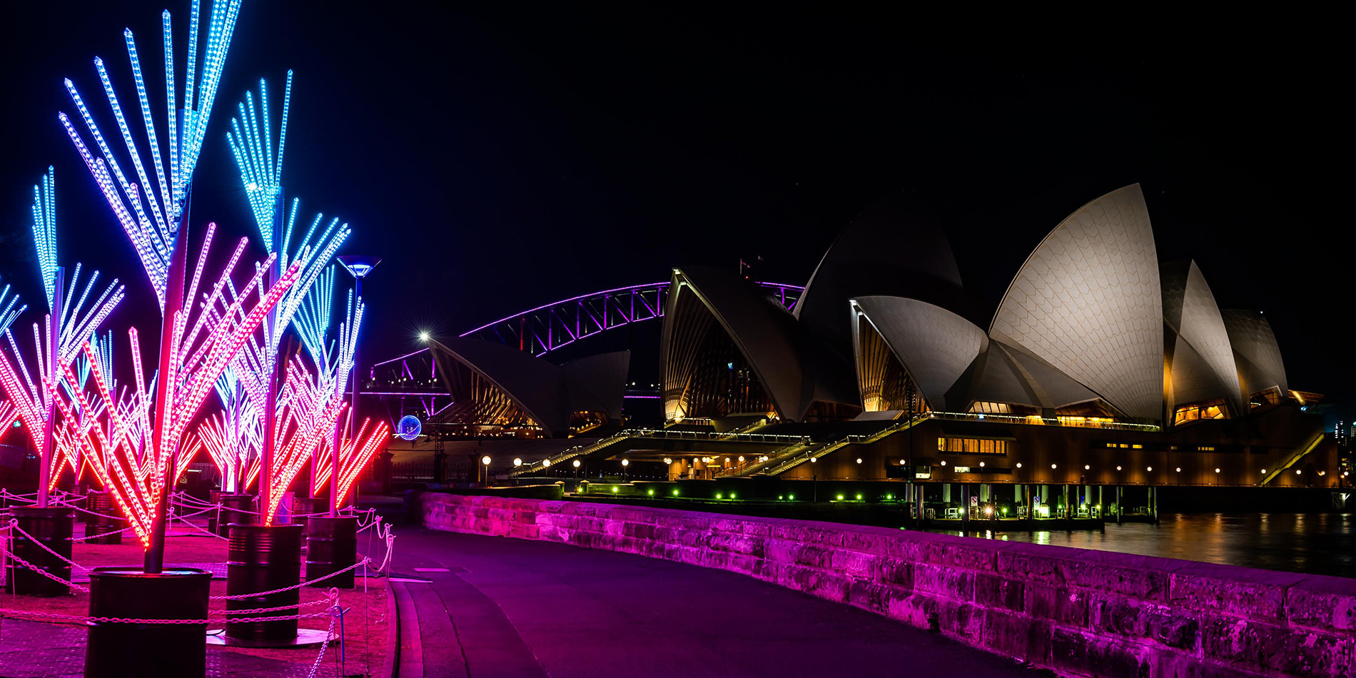 The Nautilus Forest - Vivid Sydney 2018