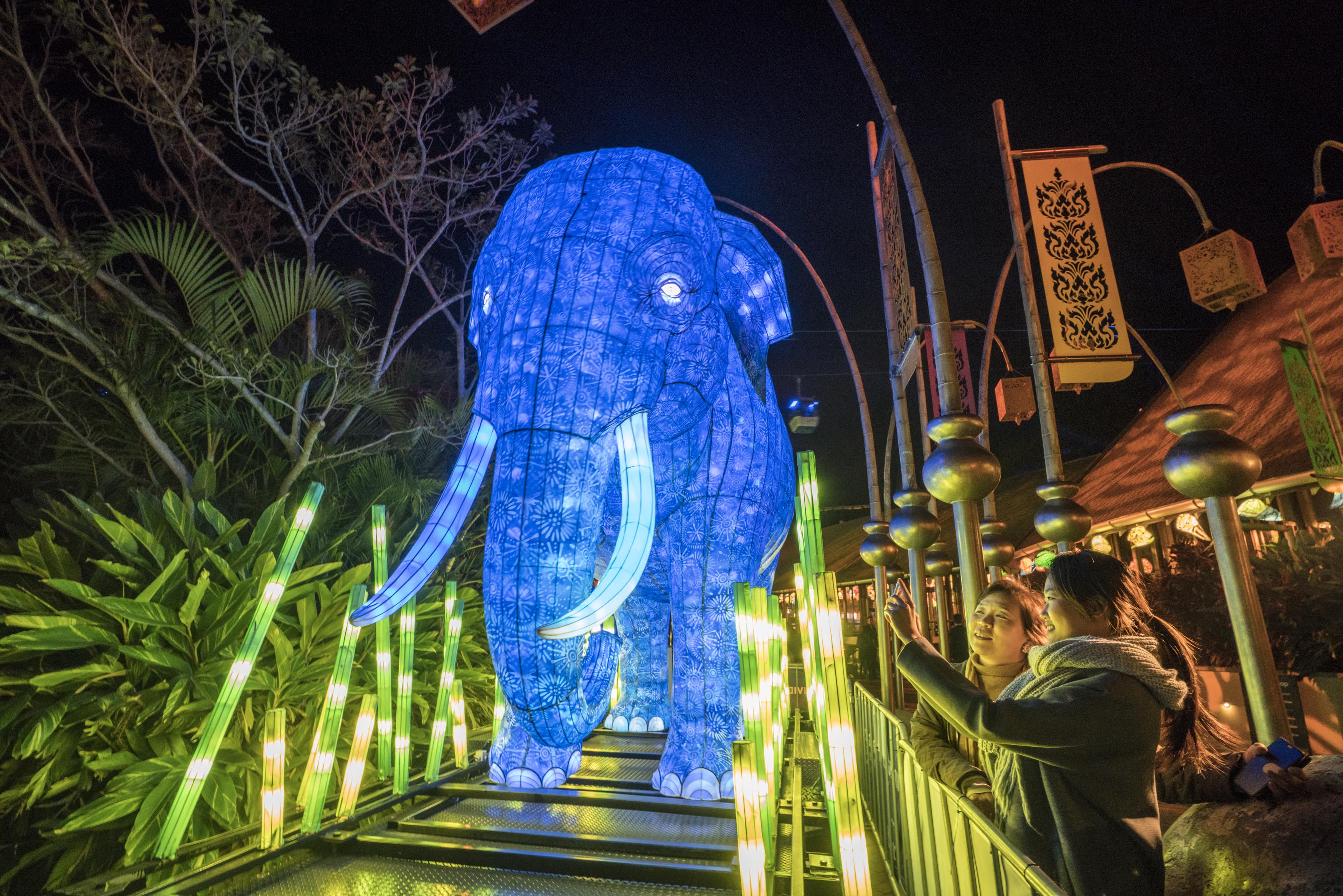 Resultado de imagen para vivid sydney 2019 zoo taronga