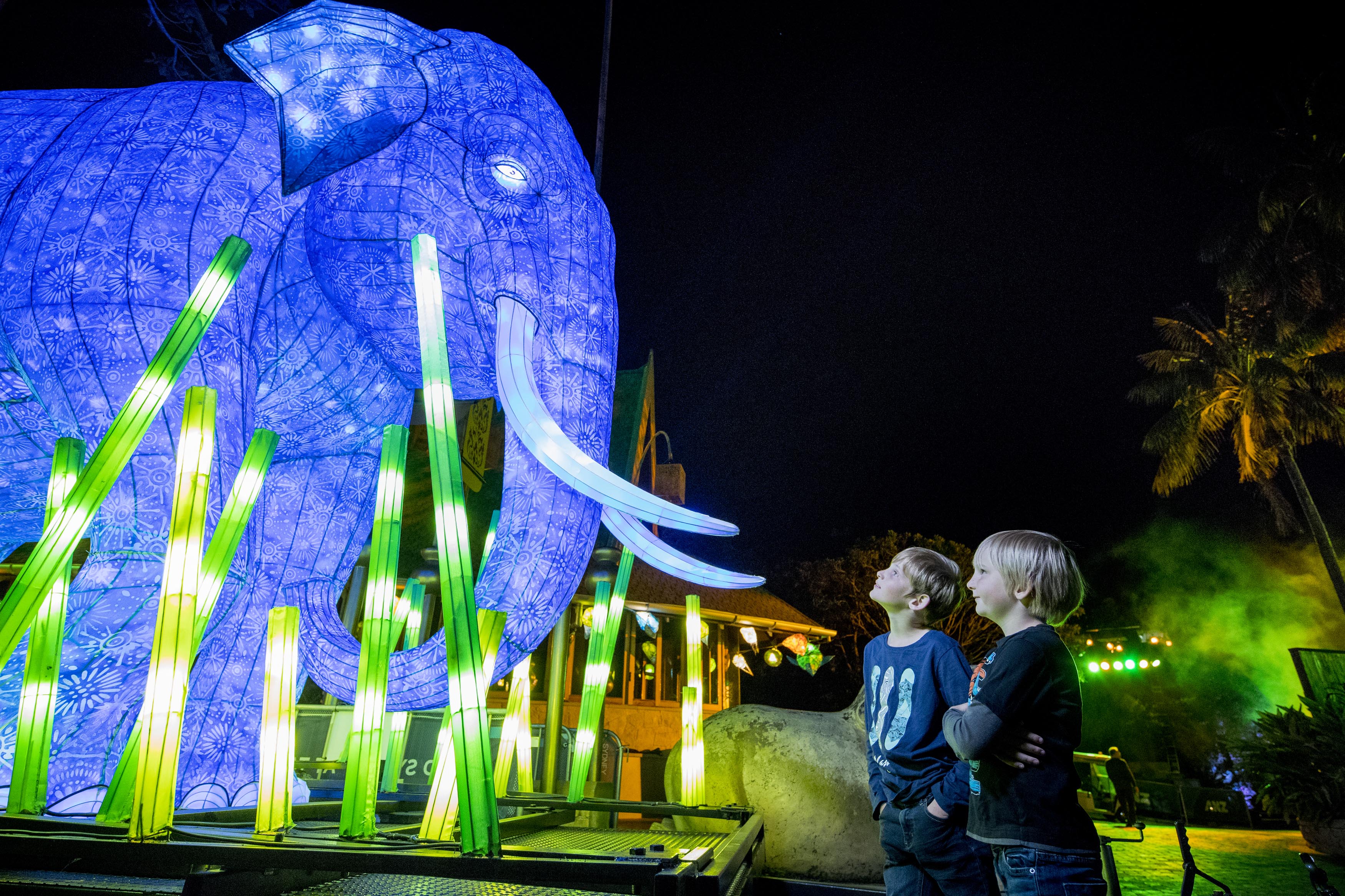 Resultado de imagen para vivid sydney 2019 zoo taronga elephant