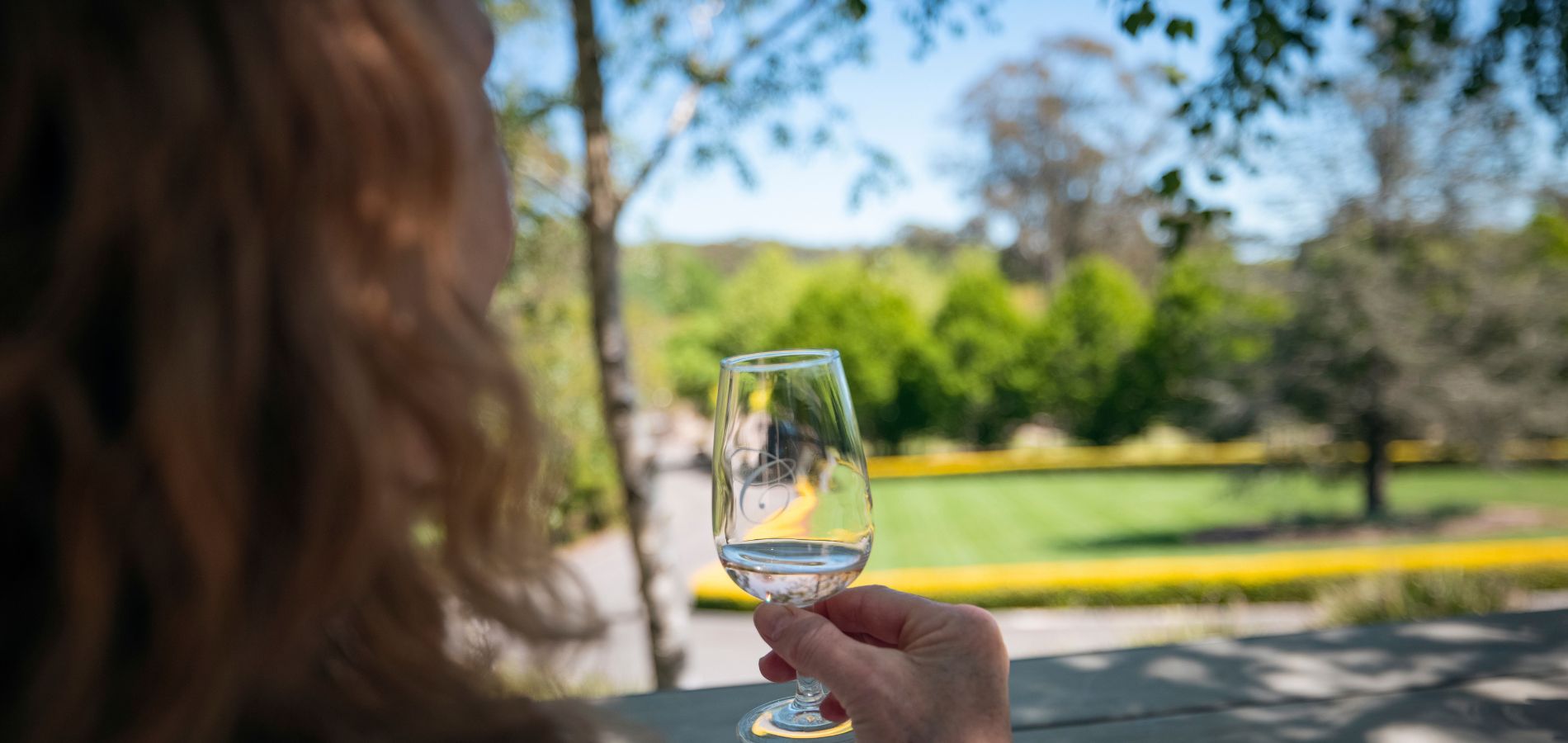 This is an image of Centennial Vineyard in Bowral