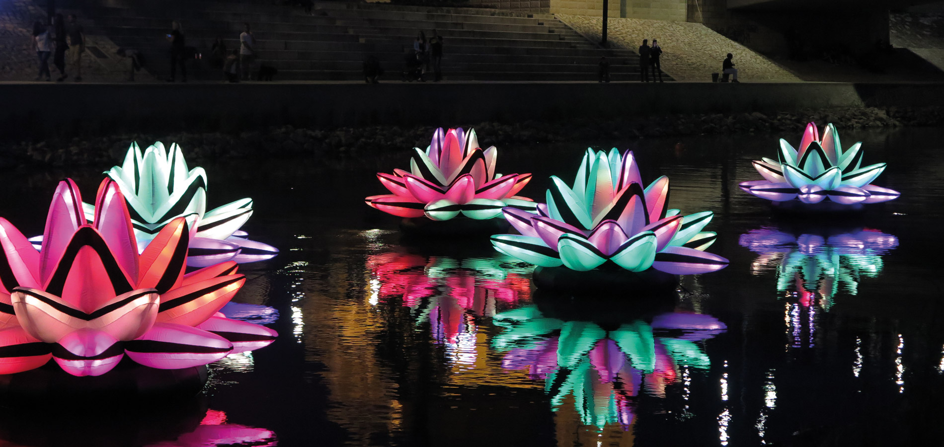 Lilies