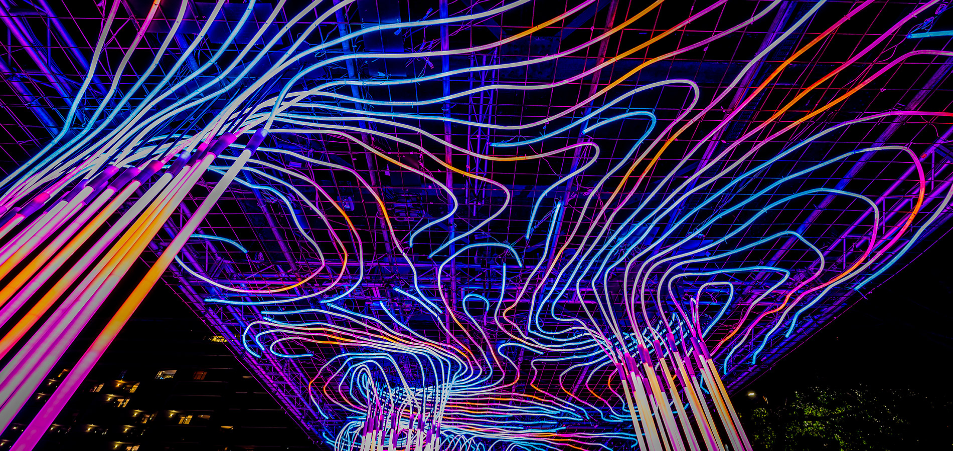 VIVID