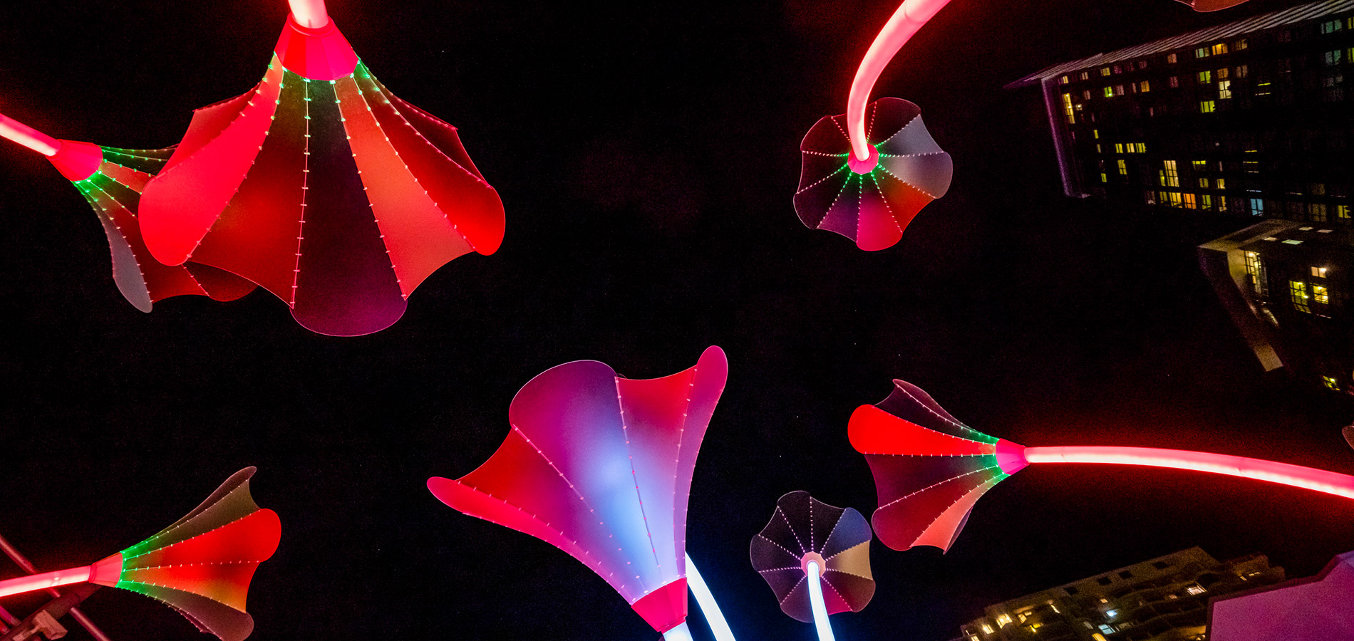 The Trumpet Flowers installation in the Chatswood precinct during Vivid Sydney 2019.