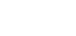 Luna park logo