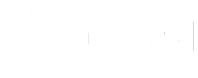 Ausgrid Logo
